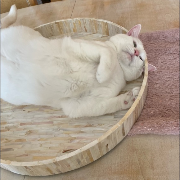 Meet your Posher, Amber - Picture 1 of 1